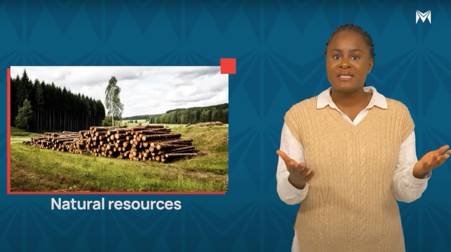 Introduction-to-Environmental-Studies.jpg